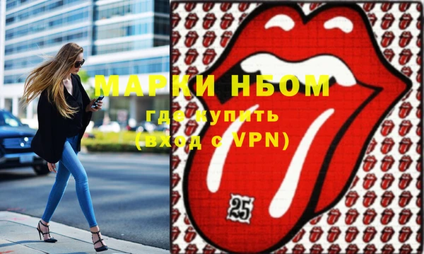индика Надым