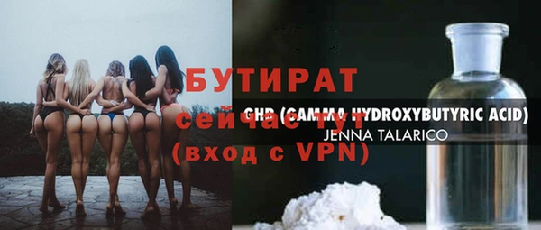 индика Надым