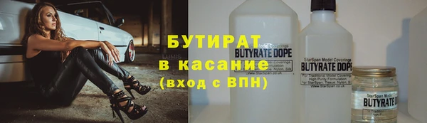 индика Надым