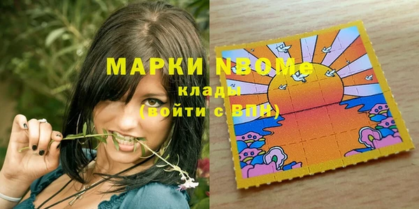 индика Надым