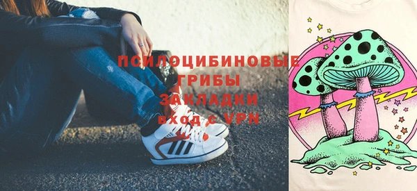 индика Надым