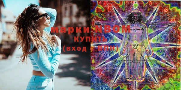 индика Надым