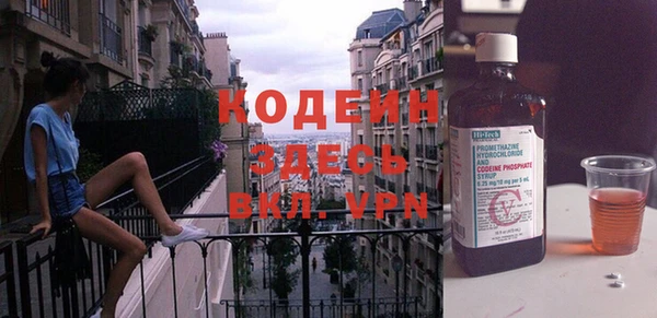 индика Надым