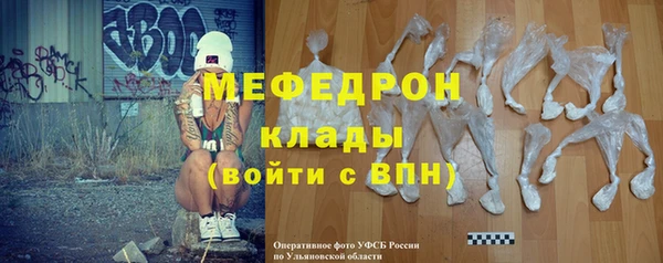 индика Надым