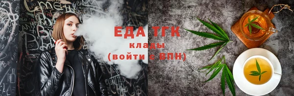 индика Надым