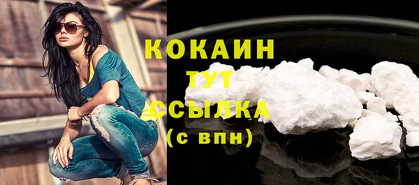 индика Надым