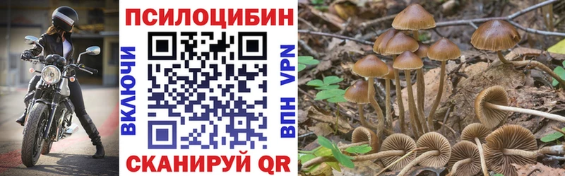 МЕГА зеркало  купить   Отрадное  Галлюциногенные грибы ЛСД 