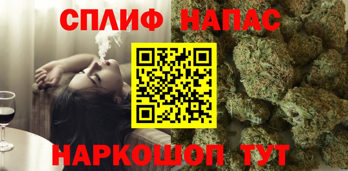 Конопля MAZAR Отрадное